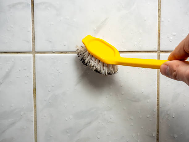 Best Attic Mold Removal  in Oberlin, OH