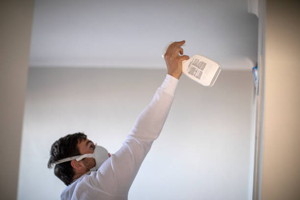 Home Mold Removal in Oberlin, OH