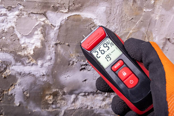 Best Commercial Mold Removal  in Oberlin, OH