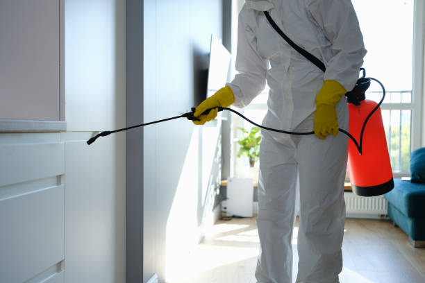 Best Mold Cleaning Services  in Oberlin, OH