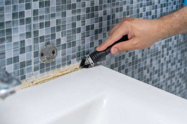Best Home Mold Removal  in Oberlin, OH
