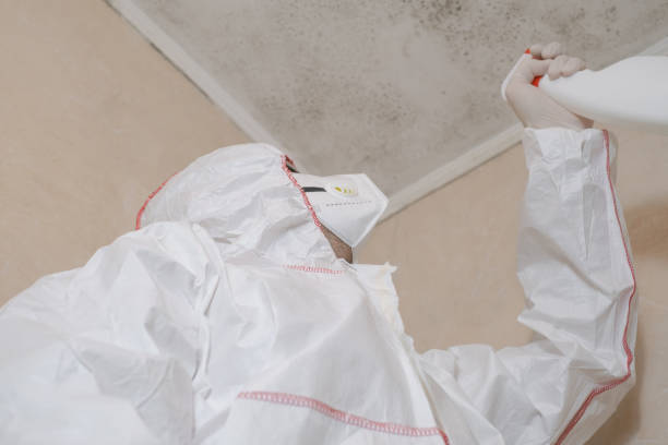 Certified Mold Removal in Oberlin, OH
