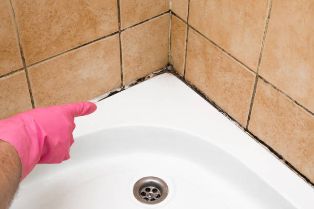 Best Mold Testing  in Oberlin, OH